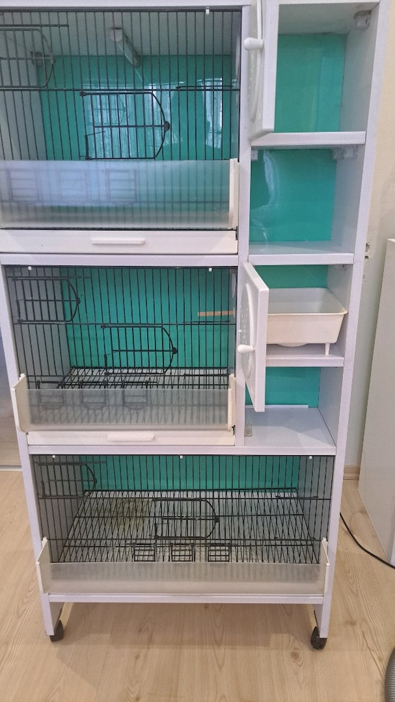 3 KATLI BST MARKA PVC MUHABBET KUŞU KADESİ - 3