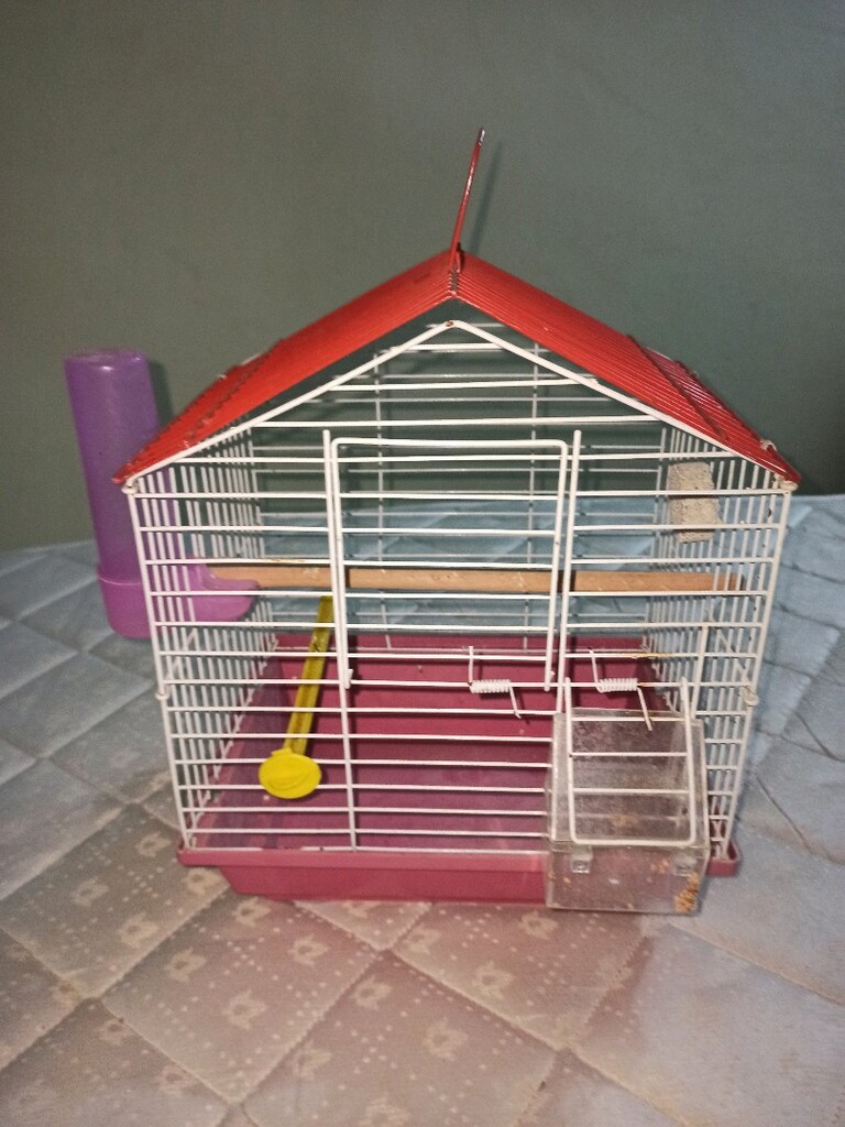 pembe renk - 3