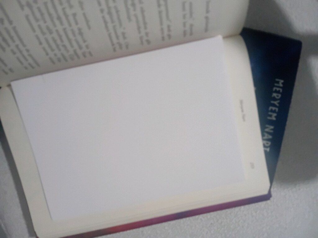 kalp ne isterse o olur 1 ve 2. kitap - 2