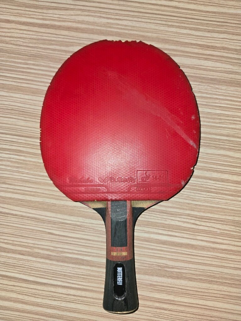 Masa Tenisi Raketi Butterfly ZJX6 - 2