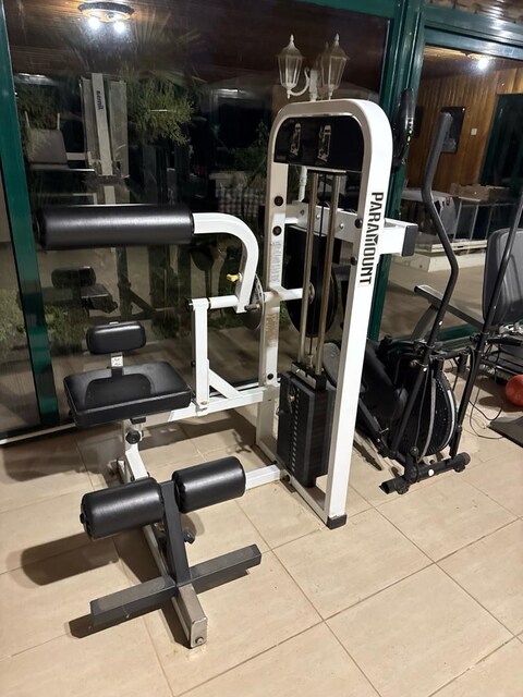 Paramount Profesyonel Karın & Bel (Abdominal / Back Extension) Fitness