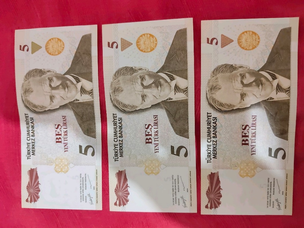 2005 5 YTL Yeni Türk Lirası – 3’lü Koleksiyonluk Lot – Çil/Çile Yakın - 8