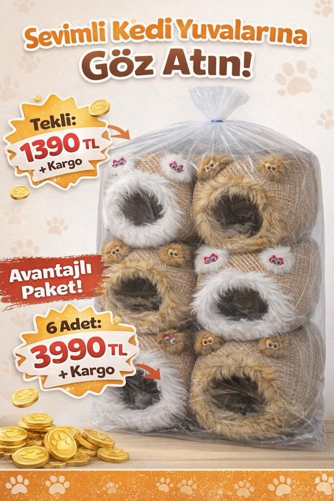 kedi köpek evi - 2