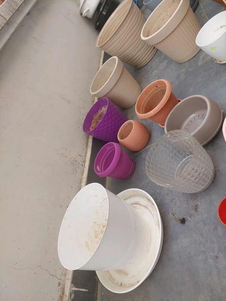 Çiçek saksı çeşitleri. Uygun fiyata veririm. - 11