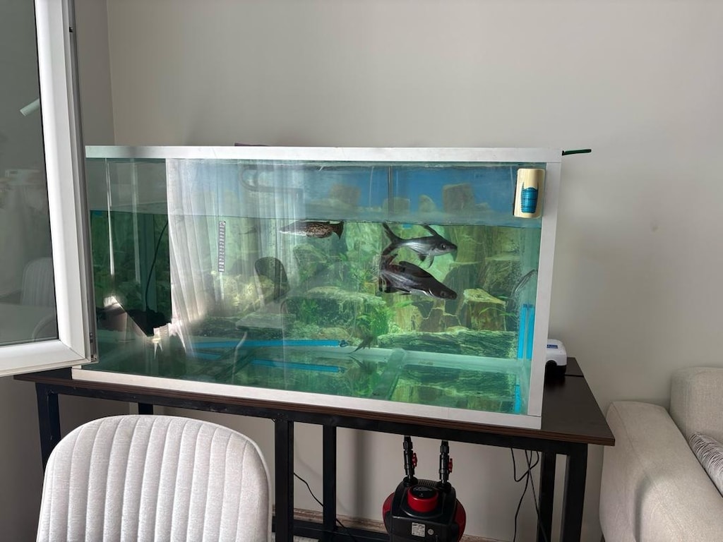 pengasuslar ve odun pengasus 40 cm - 2