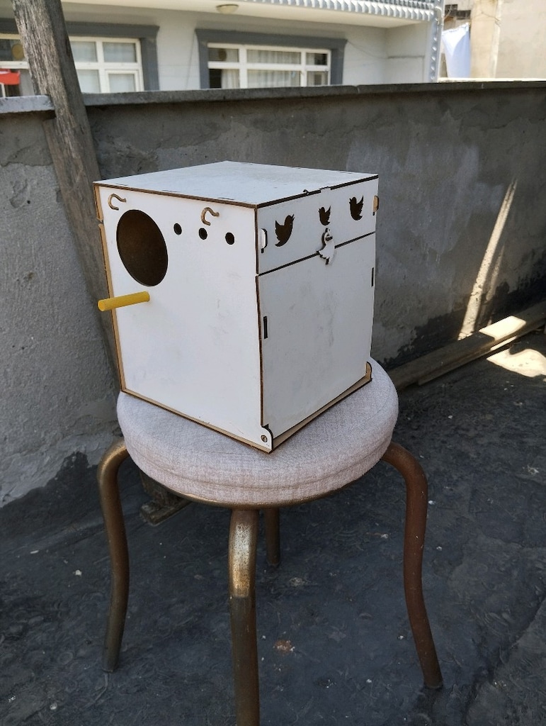 kuş yavruluk - 2