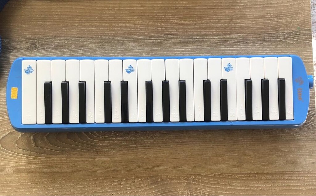 lino 32 k melodica - 5