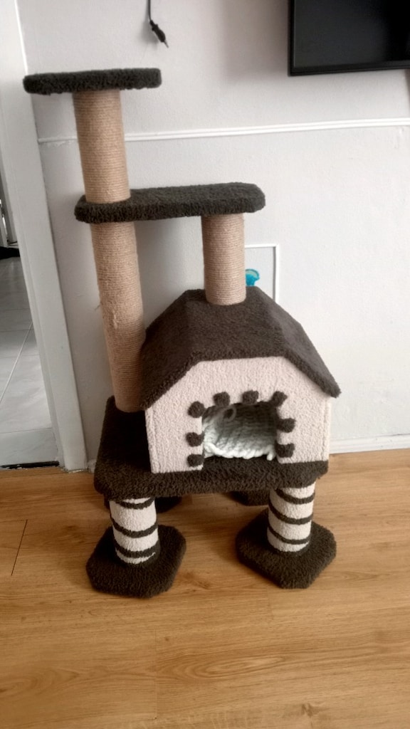 kedi evi - 2