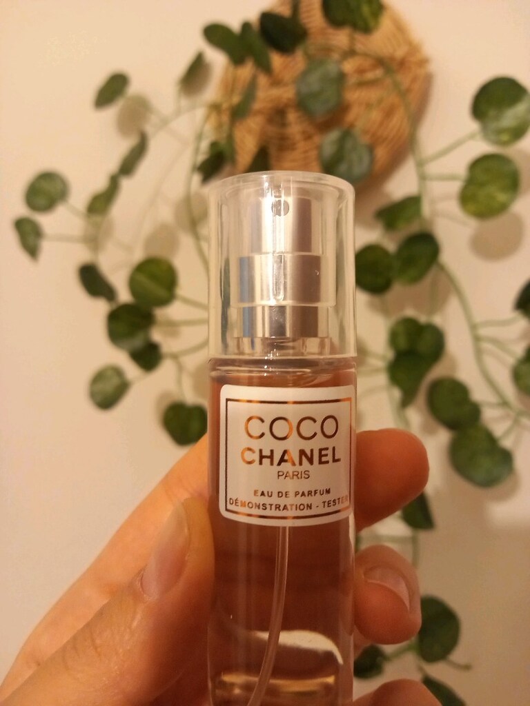 Coco Chanel & Scandal - 4
