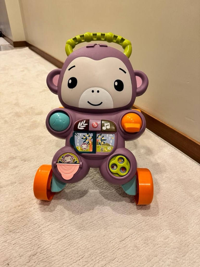 Fisher-Price Eğitici Yürüme Arkadaşı - 2