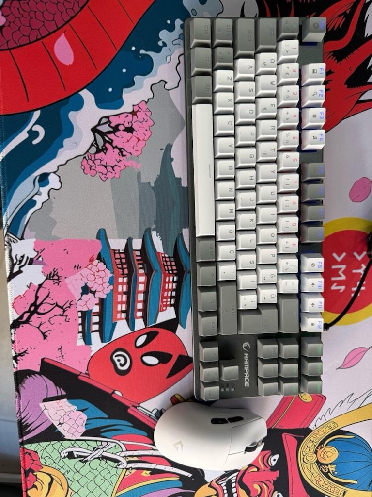 Rampage BLUE SWITCH Mekanik Gaming Oyuncu Klavye TKL - 2