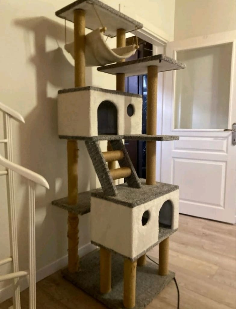 kedi evi - 2