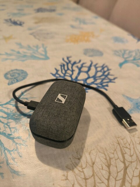 Sennheiser Momentum True Wireless 2