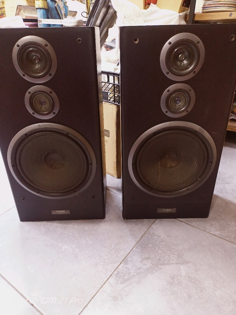 Pioneer CS 901 iki adet kolon - 2