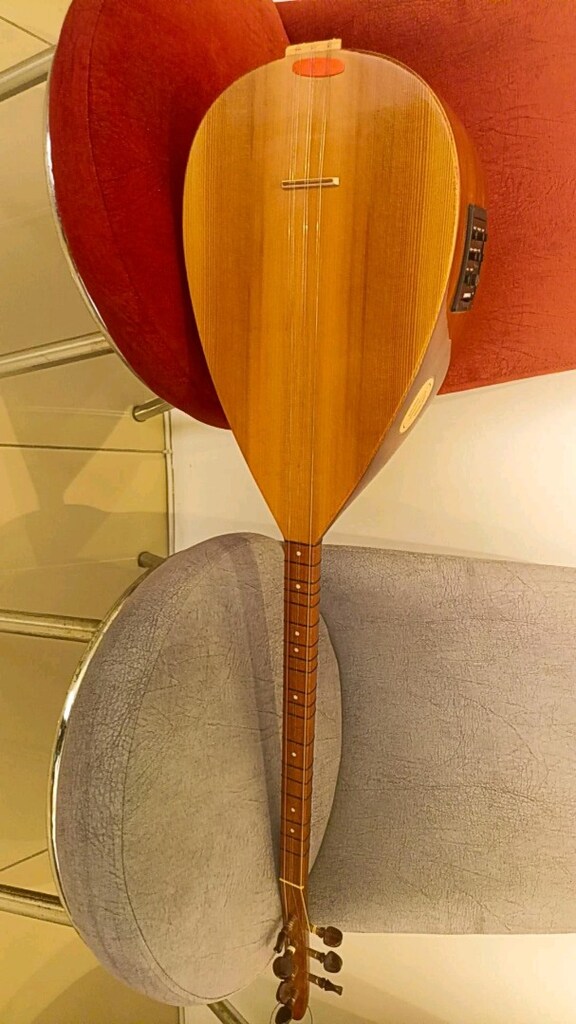 Oktay Yılmaz çıkışlı maun ağaç bağlama - 5