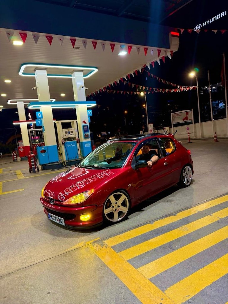 Tertemiz peugeot 206 - 6