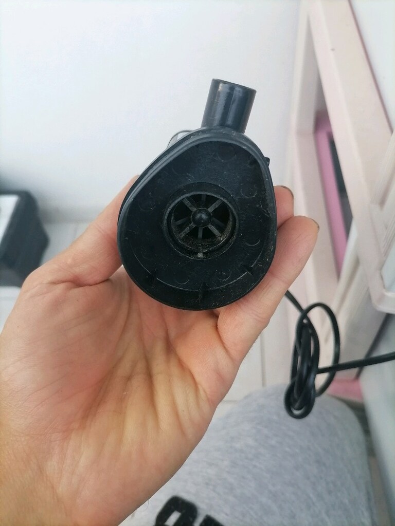 Akvaryum kafa motoru - 2
