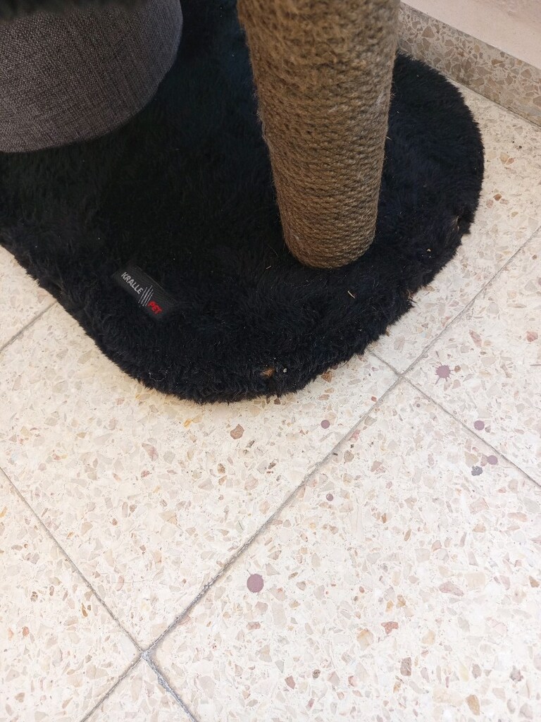 kedi evi tırmalama tahtası - 4