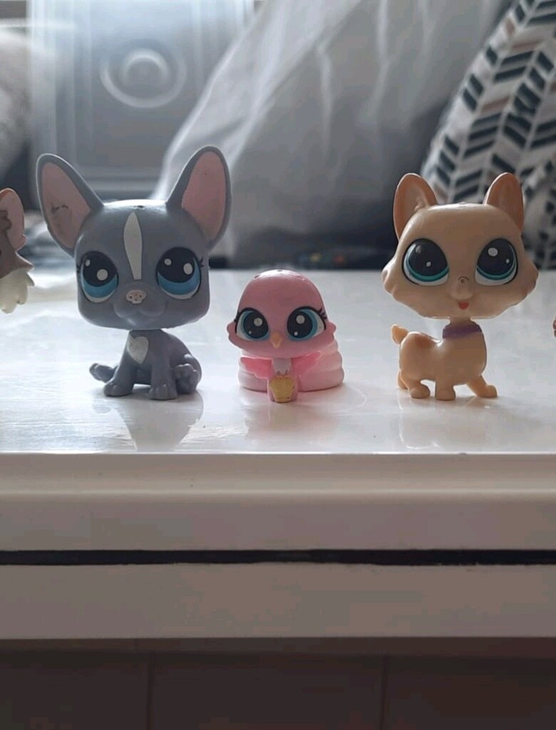 lps minişler - 2