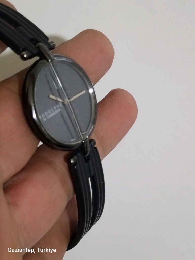 Longines Rodolphe desing Lady - 8