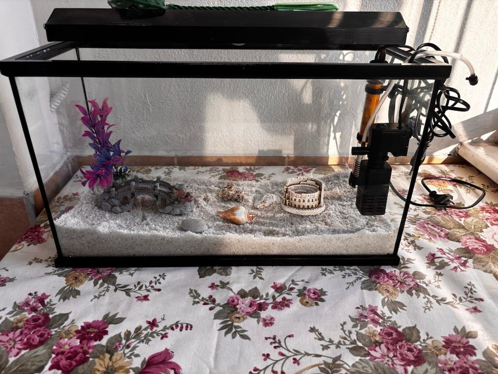 AKVARYUM TAM SET