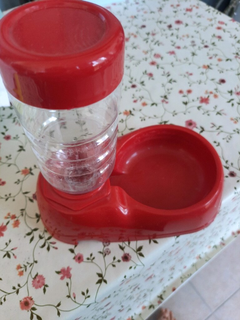 kedi soluğu - 2