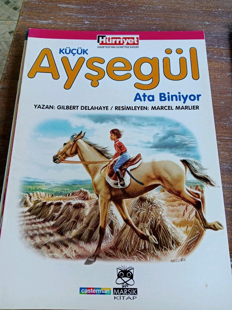 Ayşegül kitapları - 9