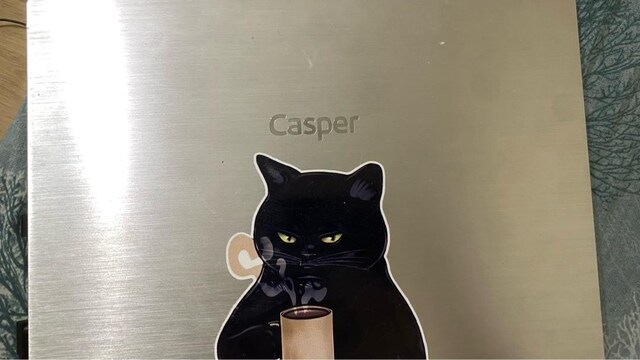CASPER NİRVANA S100 (13 Nesil)13th Gen Intel(R) Core(TM) i5-13420H