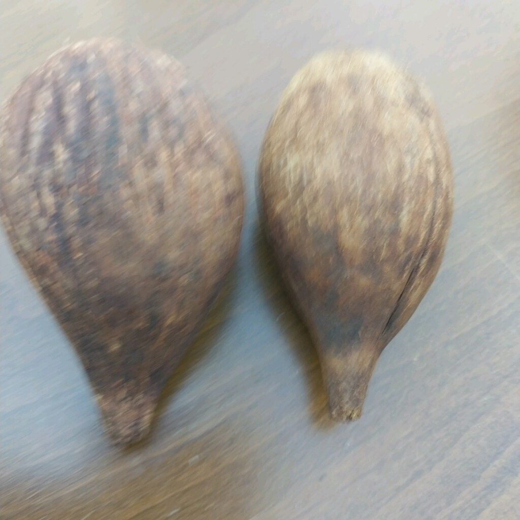 kuka