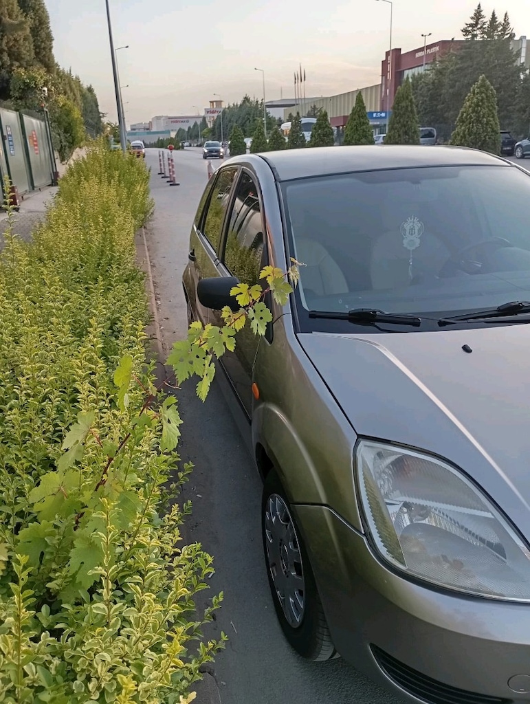 2005 FORD FİESTA BENZİN LPG BU FİYATA YOK - 4