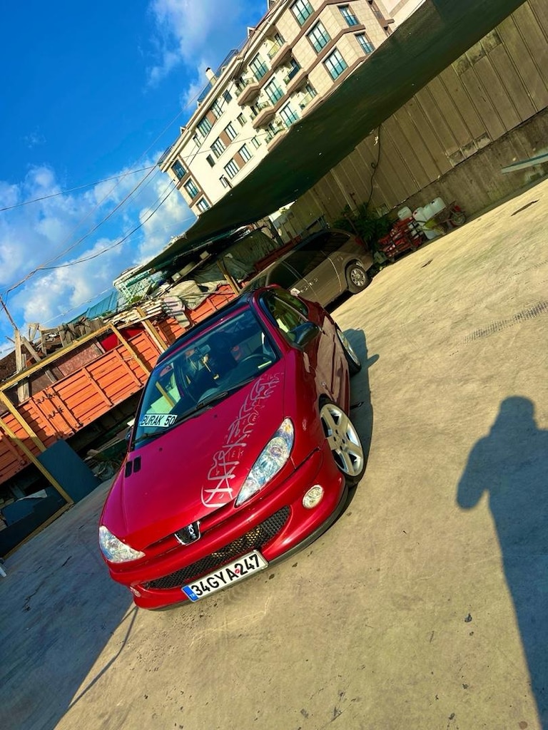 Tertemiz peugeot 206 - 2