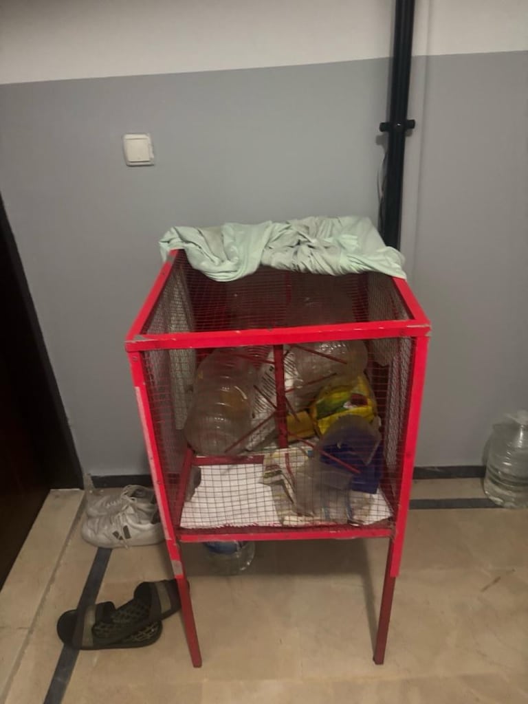 özel yapım kuş kafesi - 3