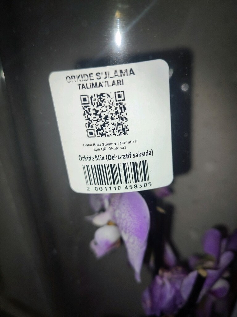 orkide çiçeği mor poşetinde - 5