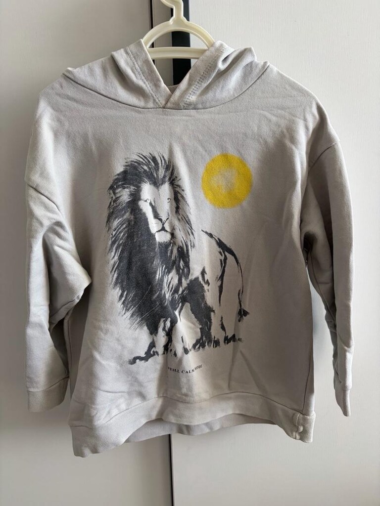 DeFacto Kids Aslan baskılı kapüşonlu sweatshirt