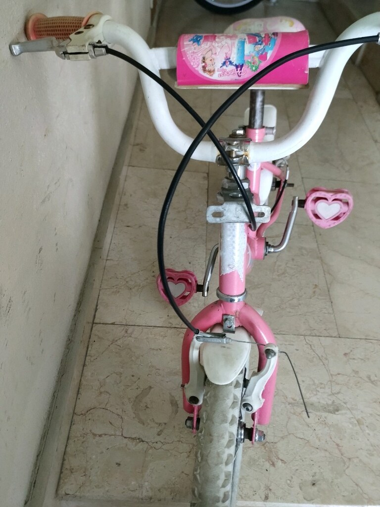 12 jant kız bisikleti - 4