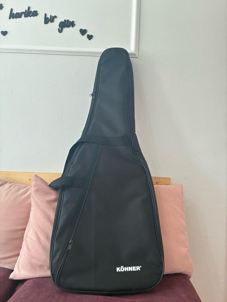 Elektro Gitar Sofcase Kılıf - 4
