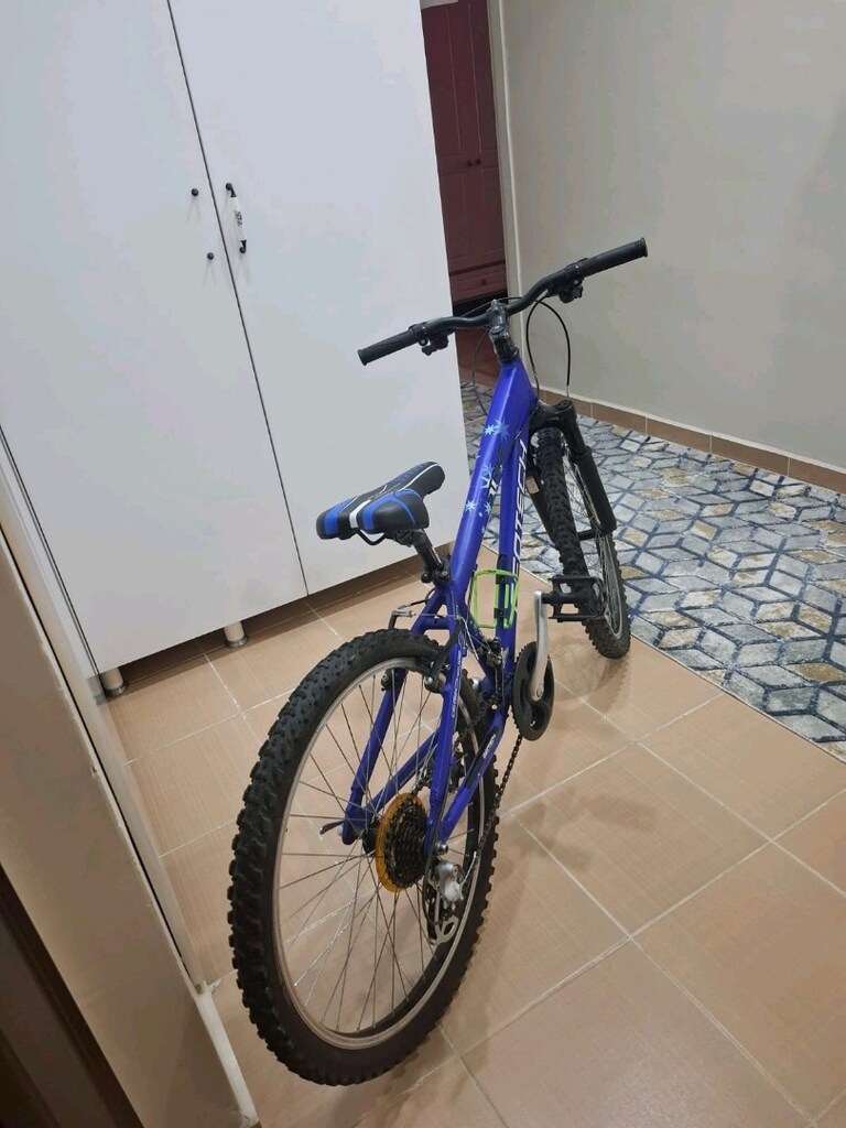 24 jant geotech marka 21 vitesli bisiklet - 5