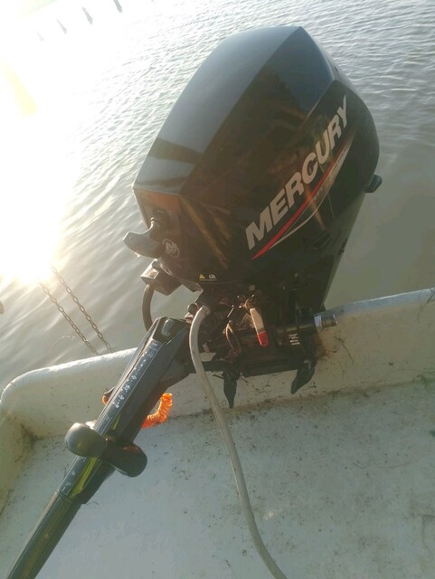 Mercury 20 hp