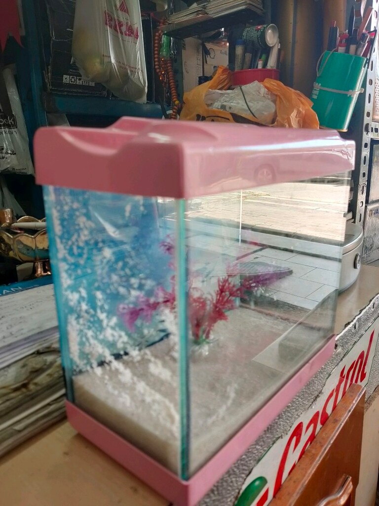 22/22/cm en 12cm akvaryum - 4