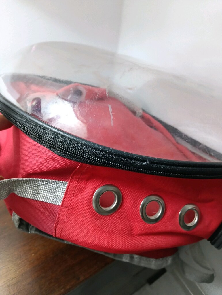 0 yeni kedi.çantası. sadexe 1 kez kullandık kedimize - 7