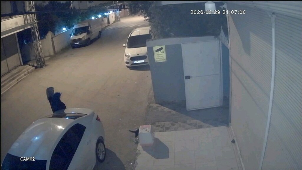 4 lü takım seti - 11