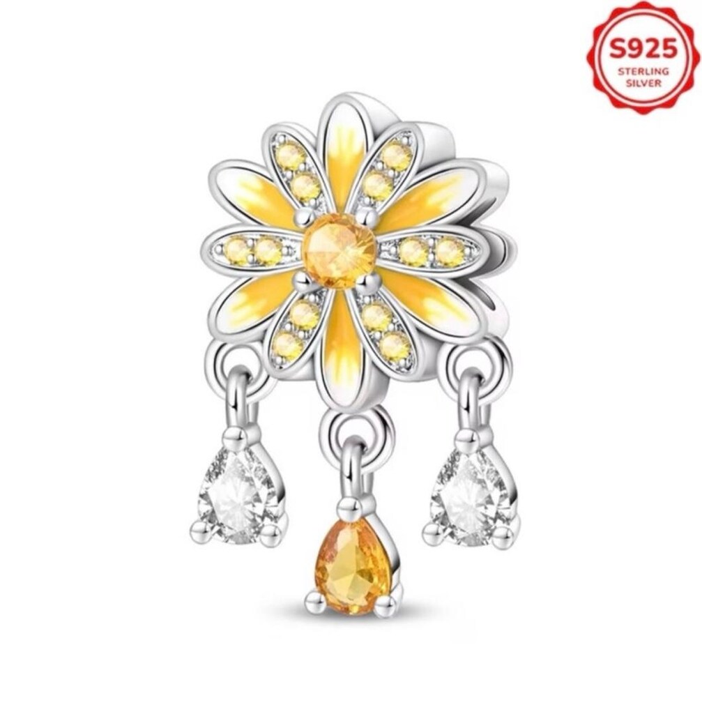 Gümüş Charm - 6