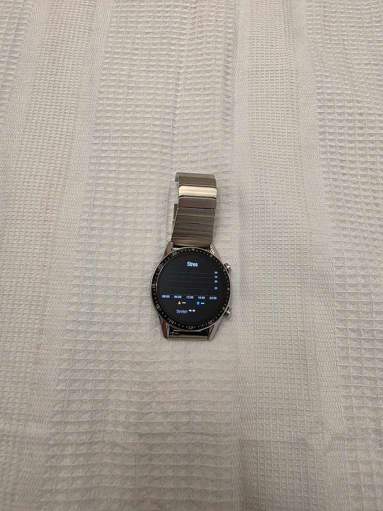 Huawei Watch GT 2 46mm Çelik Kordon (Elite Sürüm) - 9