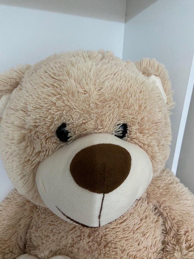 Peluş ayı - 4