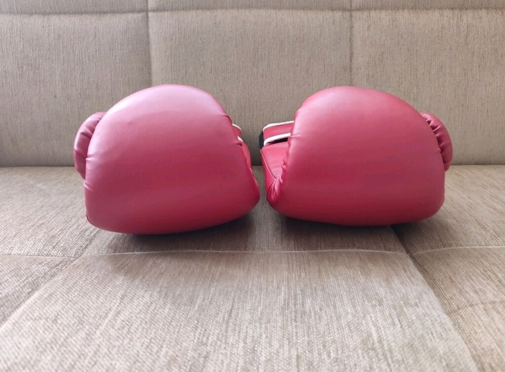 The Iron Profesional 10 OZ boks eldiveni temizdir - 8