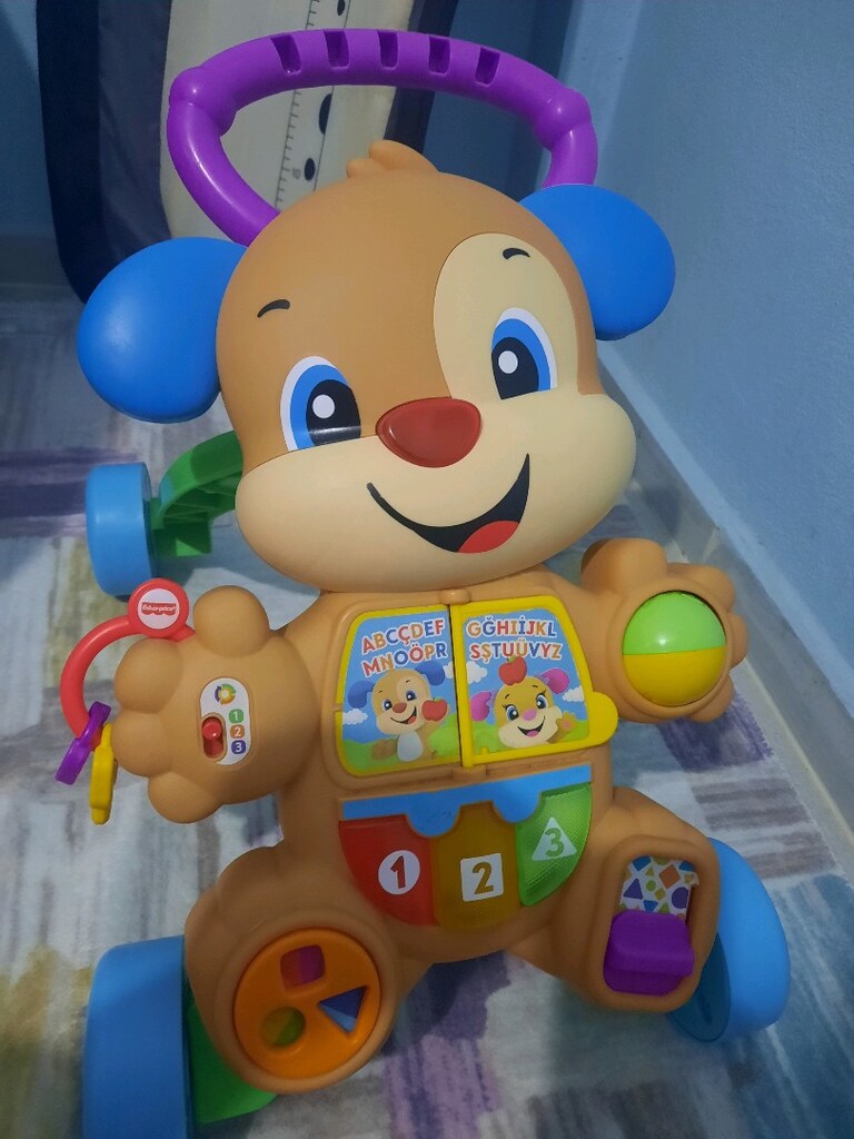 fisher price köpekçik yürüteç eğitici - 2