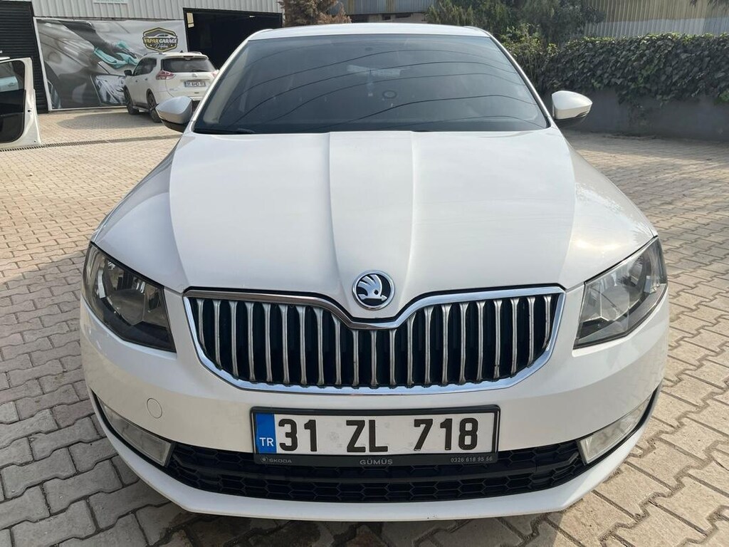 temiz octavia - 3