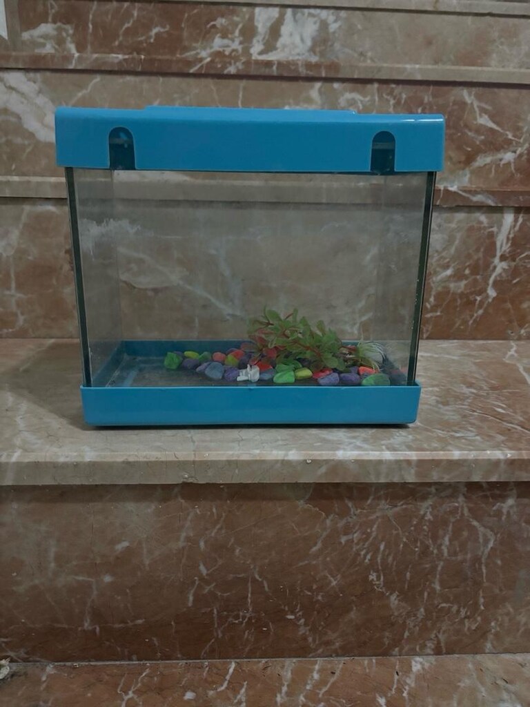 akvaryum - 2