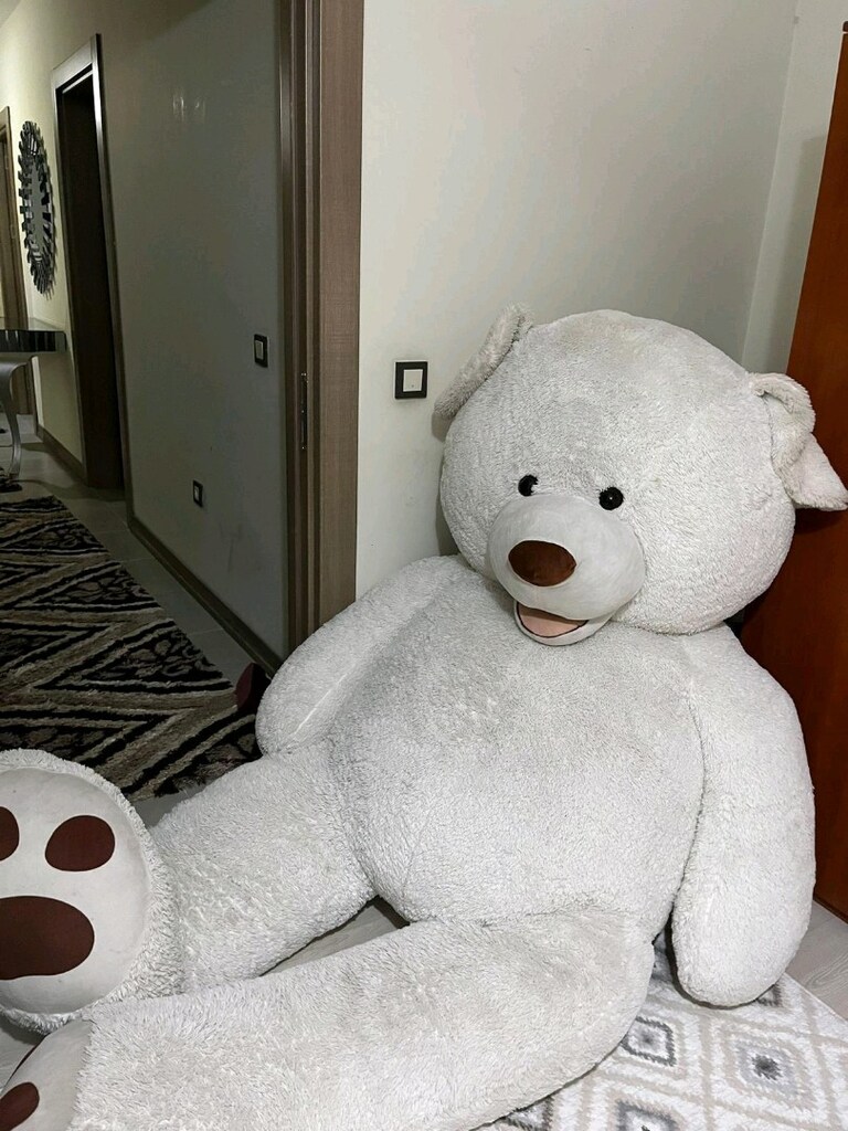 180 cm dev ayı - 2