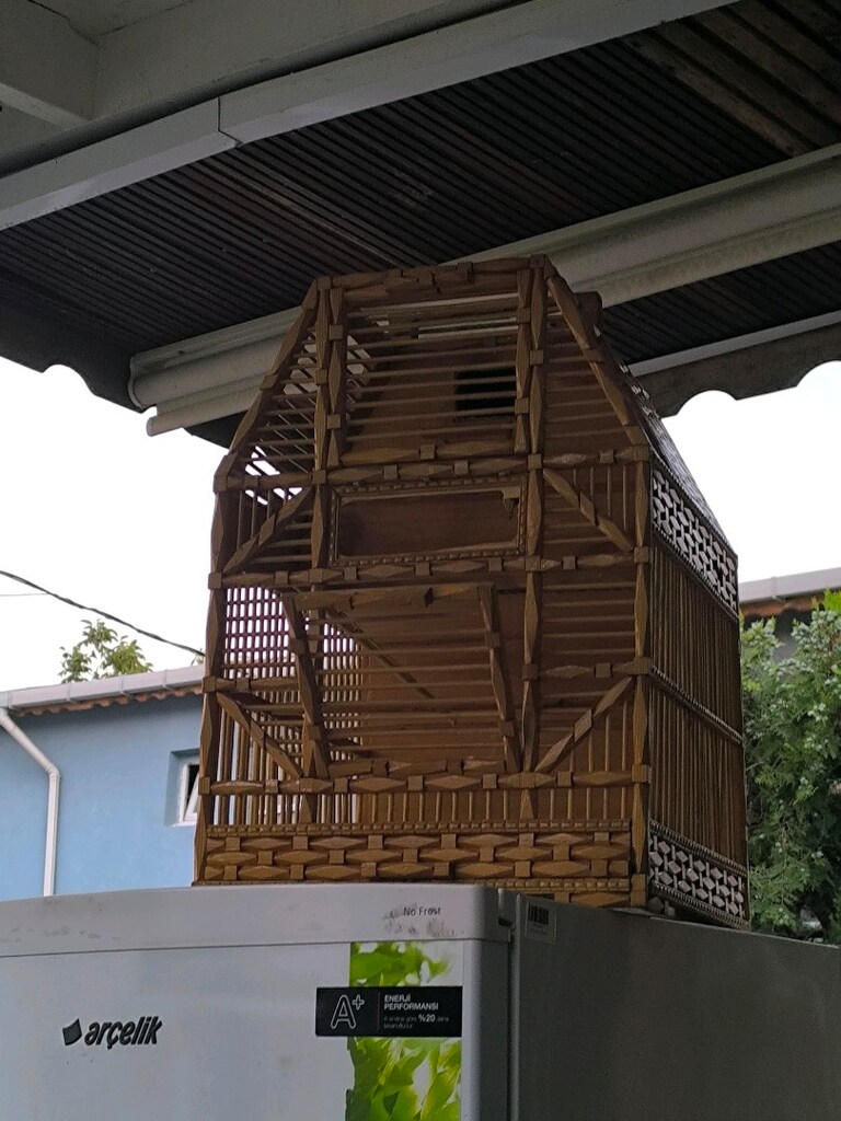 kuş kafasi - 3